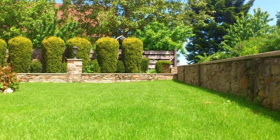 FALL LAWN CARE